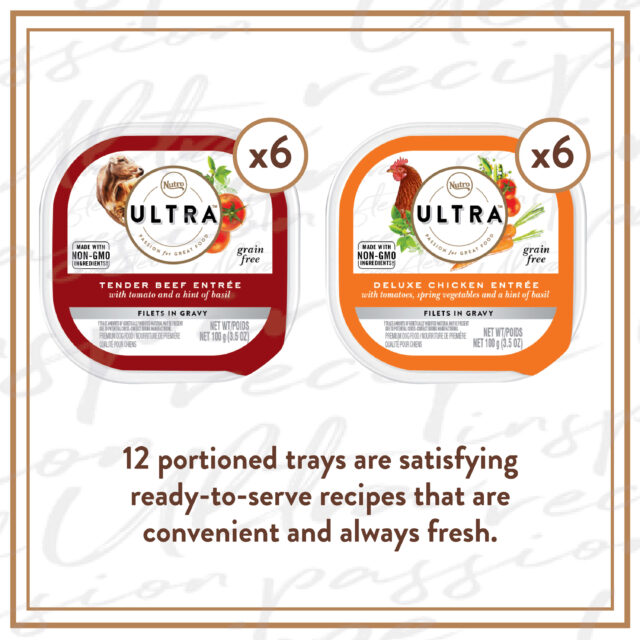 NUTRO ULTRA Filets in Gravy Wet Dog Food, Grain Free Bistro Mix Variety Pack, 3.5 Oz (Pack of 12) - Image 5