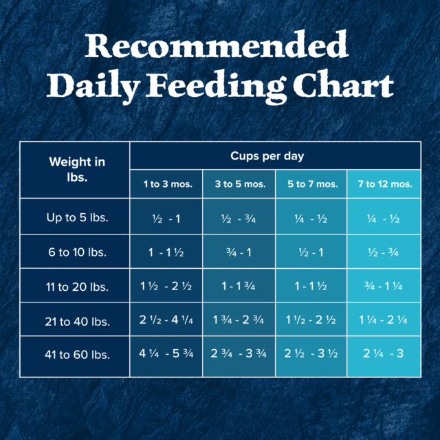 Blue Buffalo Wilderness High-Protein Natural Puppy Dry Food, Chicken Recipe - Image 3