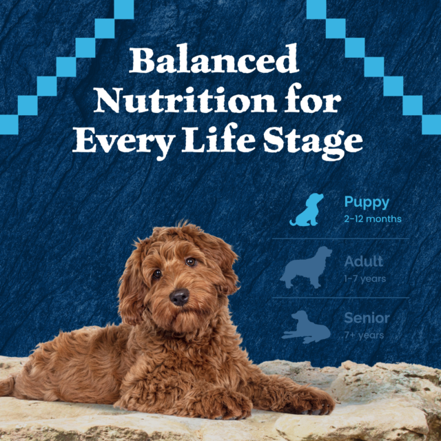 Blue Buffalo Wilderness High-Protein Natural Puppy Dry Food, Chicken Recipe - Image 5