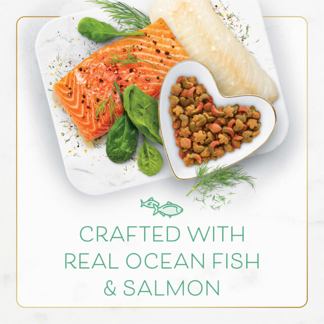 Purina Fancy Feast Dry Cat Food With Ocean Fish and Salmon - Image 4