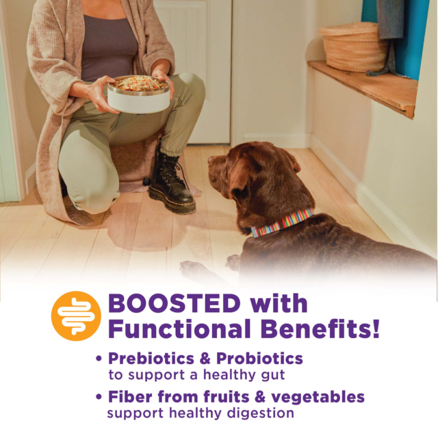 Wellness Bowl Boosters Functional Freeze-Dried Dog Food Topper, Digestive Health, 4 Ounce Bag - Image 8