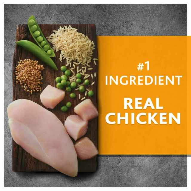 Pure Balance Chicken & Brown Rice Recipe Dry Dog Food, 15 lbs - Image 7