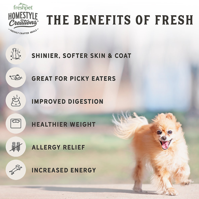 Freshpet Homestyle Creations Beef, Chicken & Turkey Recipe 1lb - Image 3