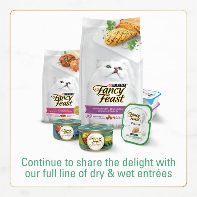 Purina Fancy Feast Dry Cat Food With Ocean Fish and Salmon - Image 6