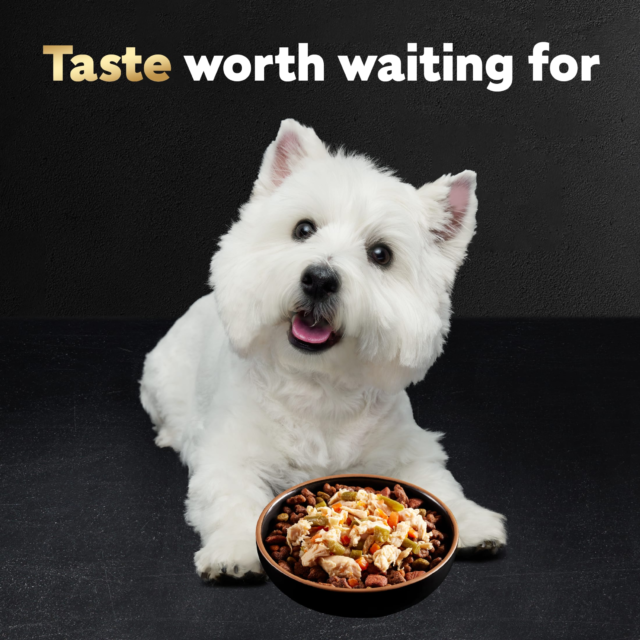 Cesar Simply Crafted Wet Dog Food Variety Pack, 1.3 Oz Tubs - Image 2