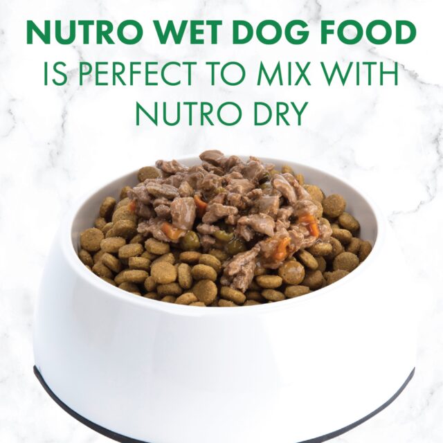 (24) Nutro Natural Grain Free Cuts In Gravy Beef, Lamb, Chicken, And Turkey Adult Wet Dog Food Variety Pack, 3.5 Oz Trays - Image 11