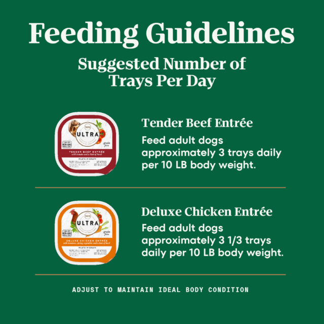 NUTRO ULTRA Filets in Gravy Wet Dog Food, Grain Free Bistro Mix Variety Pack, 3.5 Oz (Pack of 12) - Image 6