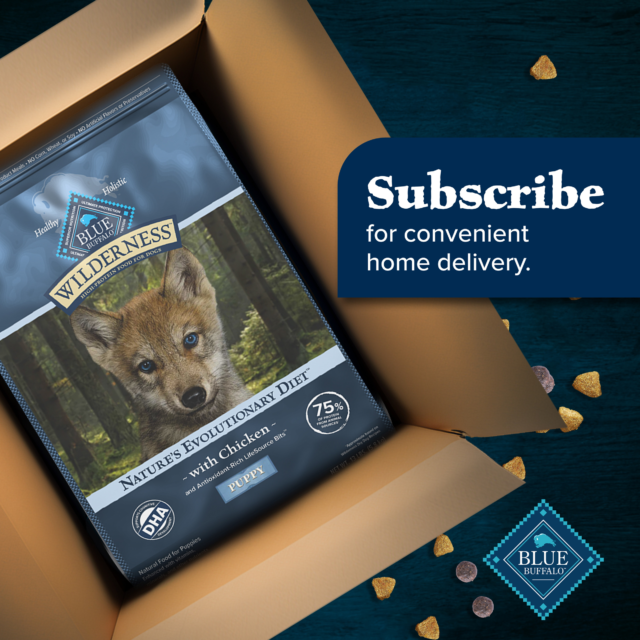 Blue Buffalo Wilderness High-Protein Natural Puppy Dry Food, Chicken Recipe - Image 2