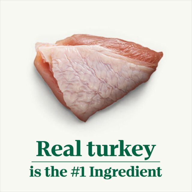 Nutro Hearty Stew Natural Cuts In Gravy Roasted Turkey, Sweet Potato & Green Bean Stew Adult Wet Dog Food, 12.5 Oz. Can - Image 4