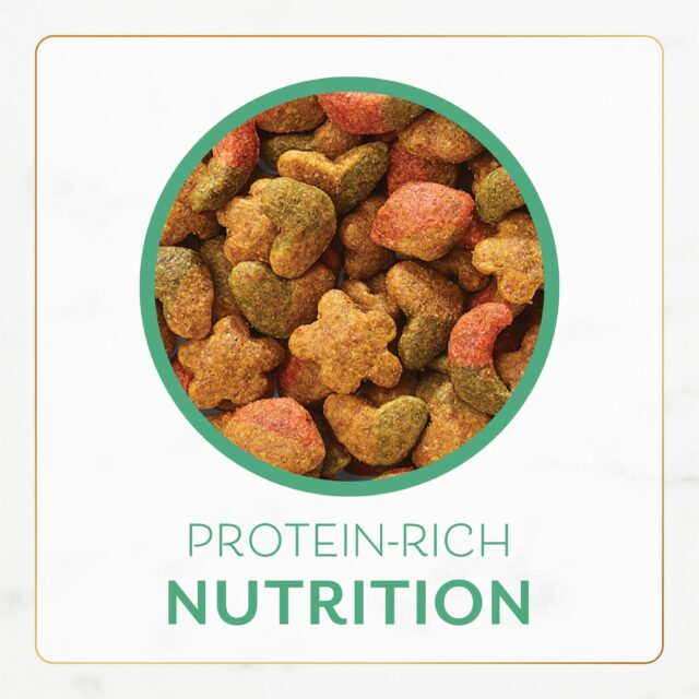 Purina Fancy Feast Dry Cat Food With Ocean Fish and Salmon - Image 8