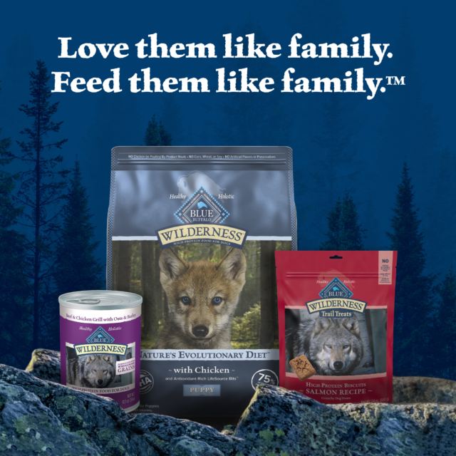 Blue Buffalo Wilderness High-Protein Natural Puppy Dry Food, Chicken Recipe - Image 4