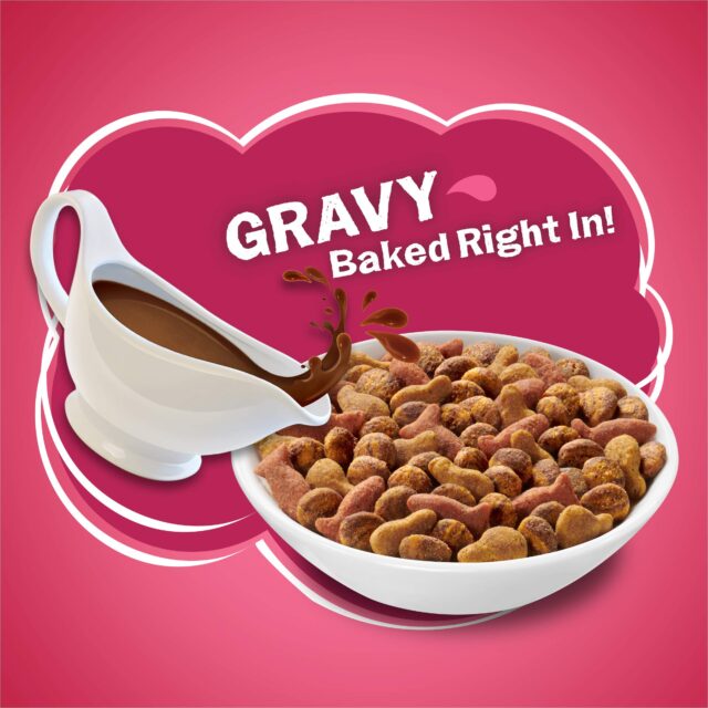 Purina Friskies Gravy Swirlers Cat Food - Image 2