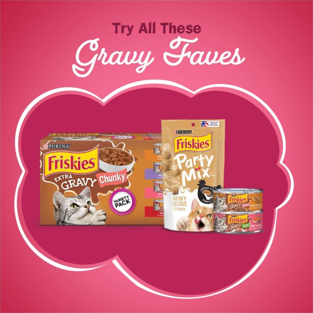 Purina Friskies Gravy Swirlers Cat Food - Image 12