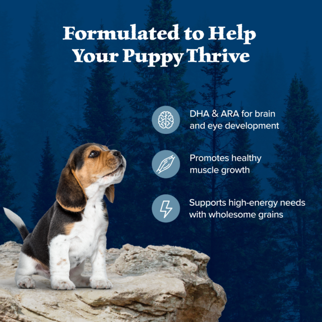 Blue Buffalo Wilderness High-Protein Natural Puppy Dry Food, Chicken Recipe - Image 9