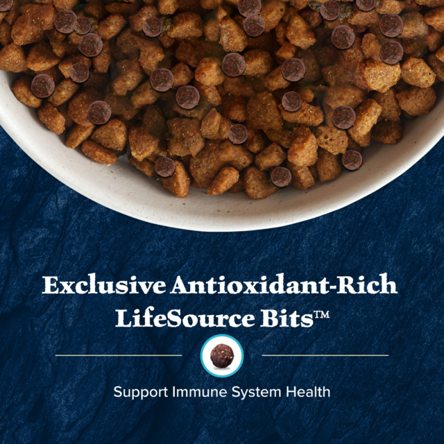 Blue Buffalo Wilderness High-Protein Natural Puppy Dry Food, Chicken Recipe - Image 6