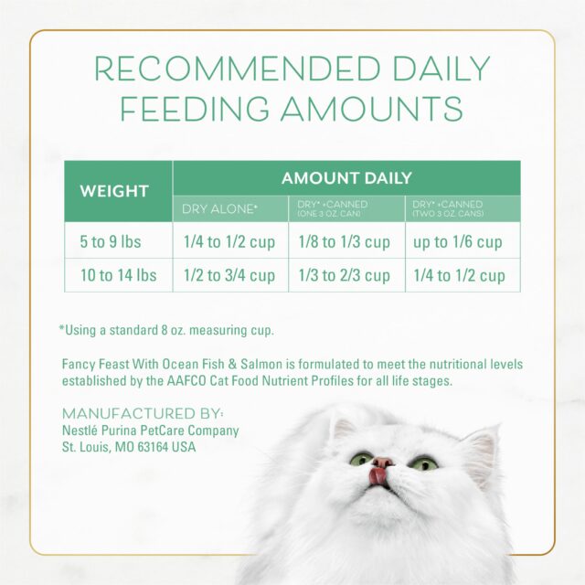 Purina Fancy Feast Dry Cat Food With Ocean Fish and Salmon - Image 9