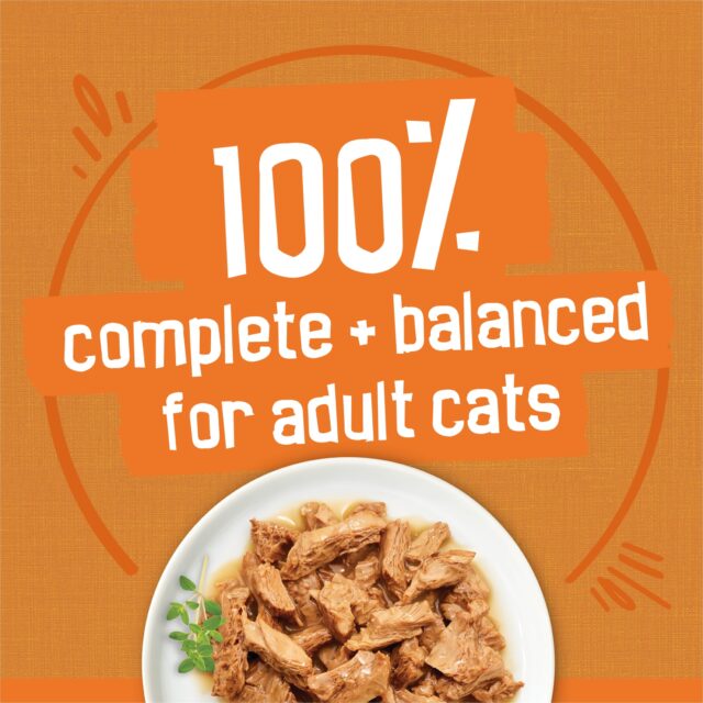 Purina Friskies Pate, Soft Chicken Lovers Variety Pack, Wet Cat Food, 5.5 oz Cans, 32 Pack - Image 7
