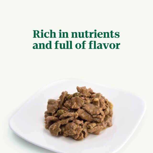 Nutro Hearty Stew Natural Cuts In Gravy Roasted Turkey, Sweet Potato & Green Bean Stew Adult Wet Dog Food, 12.5 Oz. Can - Image 6