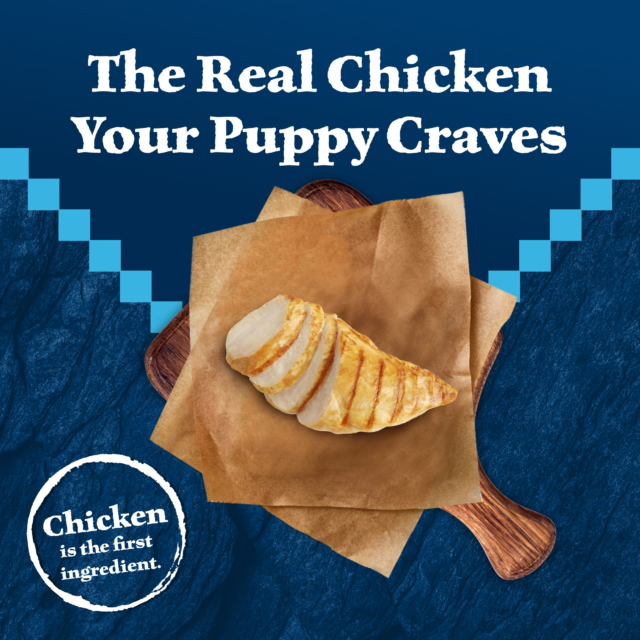 Blue Buffalo Wilderness High-Protein Natural Puppy Dry Food, Chicken Recipe - Image 10