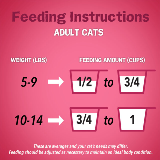 Purina Friskies Gravy Swirlers Cat Food - Image 5