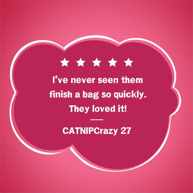 Purina Friskies Gravy Swirlers Cat Food - Image 9