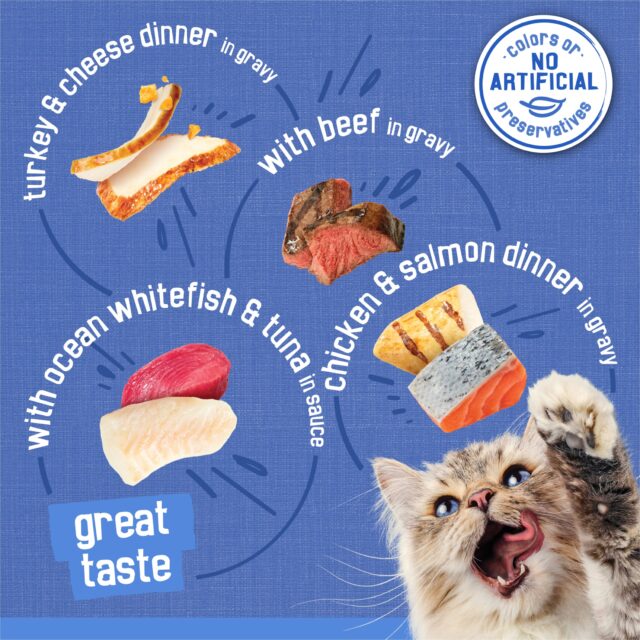 Purina Friskies Shreds Gravy Variety Pack, Wet Cat Food, 5.5 oz Cans, 40 Pack - Image 8