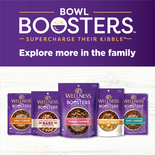 Wellness Bowl Boosters Functional Freeze-Dried Dog Food Topper, Digestive Health, 4 Ounce Bag - Image 2