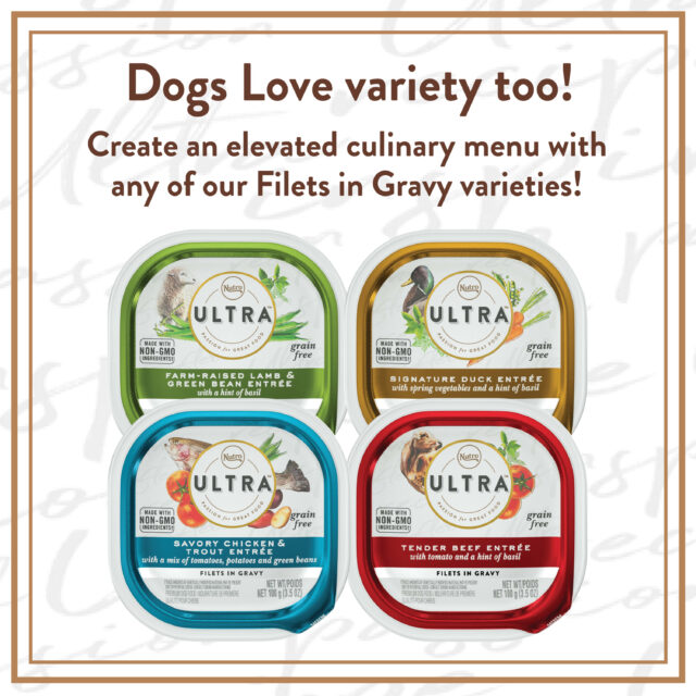 NUTRO ULTRA Filets in Gravy Wet Dog Food, Grain Free Bistro Mix Variety Pack, 3.5 Oz (Pack of 12) - Image 4