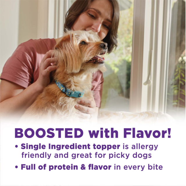 Wellness Bowl Boosters BARE Dog Food Topper, Freeze Dried Beef, 4-Ounce Bag - Image 7