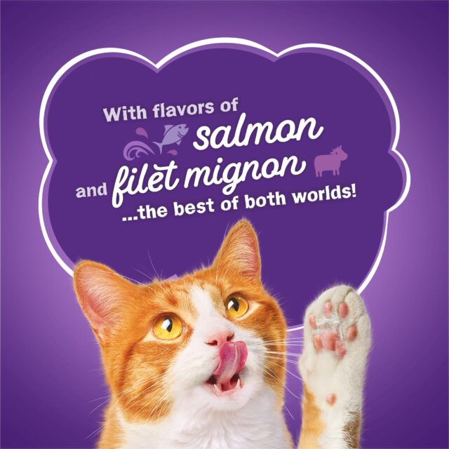 Purina Friskies Surfin' & Turfin',Indoor Dry Cat Food, Chicken,Whitefish, & Salmon - Image 8