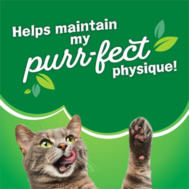 Purina Friskies Surfin' & Turfin',Indoor Dry Cat Food, Chicken,Whitefish, & Salmon - Image 10
