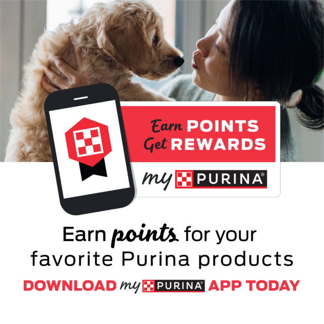 Purina Friskies Surfin' & Turfin',Indoor Dry Cat Food, Chicken,Whitefish, & Salmon - Image 2