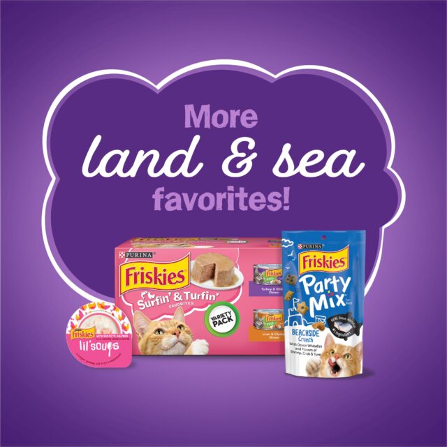 Purina Friskies Surfin' & Turfin',Indoor Dry Cat Food, Chicken,Whitefish, & Salmon - Image 6