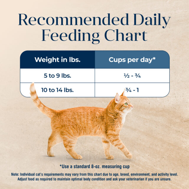 Blue Buffalo Basics Mature Cat Skin & Stomach Care Dry Cat Food, Turkey & Potato - Image 10