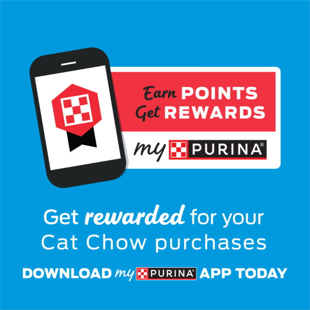 Purina Cat Chow Hairball & Healthy Weight, Indoor Dry Cat Food - Image 8