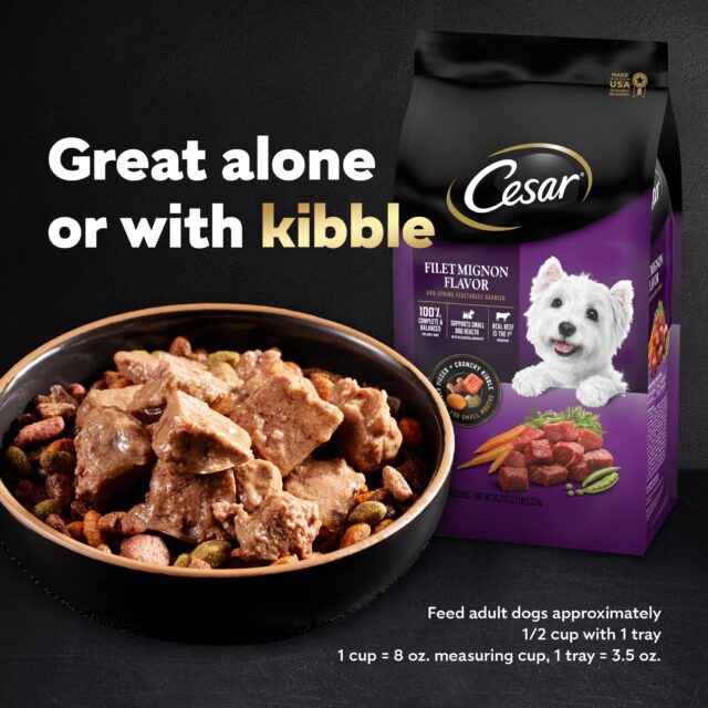 Cesar Loaf And Topper In Sauce Wet Dog Food Variety Pack, 3.5 oz Trays (24 Pack) - Image 3