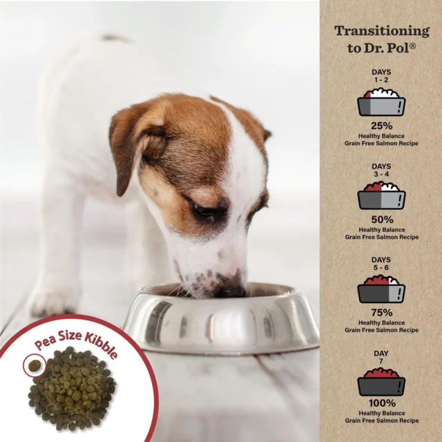 Dr. Pol Healthy Balance Limited Ingredient Grain-Free Salmon Recipe Dog Food - Image 5