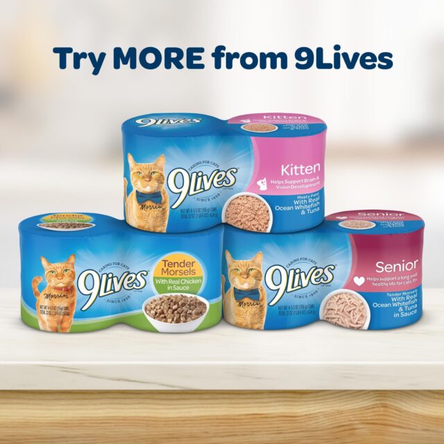9Lives Daily Essentials Dry Cat Food - Image 8