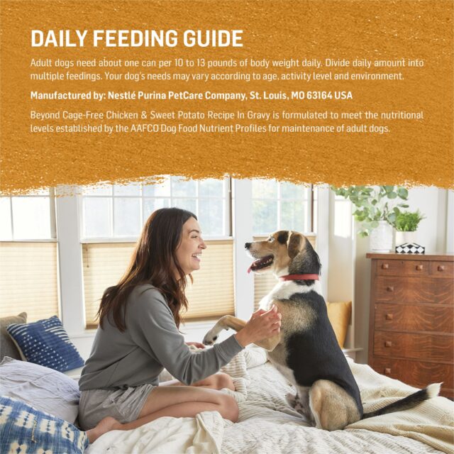 Purina Beyond Grani-Free Wet Dog Food in Gravy Soft Chicken & Sweet Potato, 12.5 oz Cans (12 Pack) - Image 2