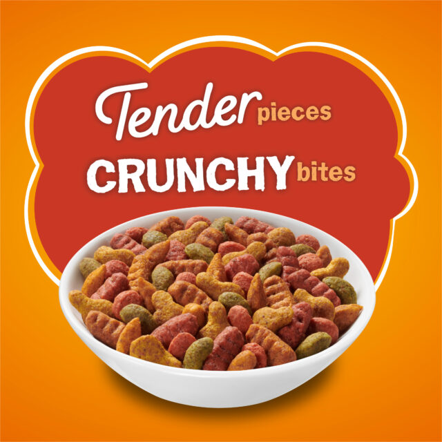 Purina Friskies Tender & Crunchy, Indoor Dry Cat Food, Chicken & Beef - Image 4