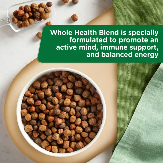 Rachael Ray Nutrish Real Chicken & Veggies Recipe Dry Dog Food - Image 3