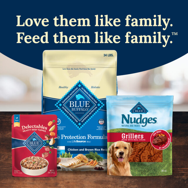 Blue Buffalo Delectables Natural Wet Dog Food Toppers, Hearty Beef, 3-oz Pouch - Image 2