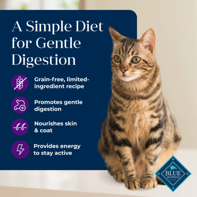 Blue Buffalo Basics Mature Cat Skin & Stomach Care Dry Cat Food, Turkey & Potato - Image 3