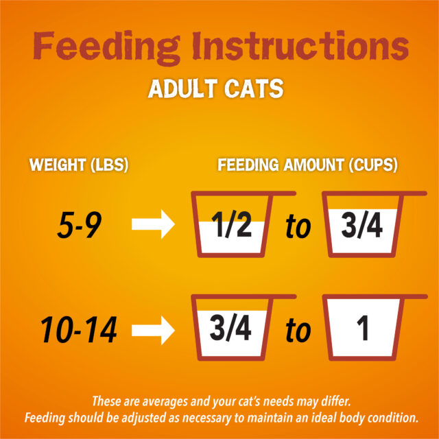 Purina Friskies Tender & Crunchy, Indoor Dry Cat Food, Chicken & Beef - Image 2