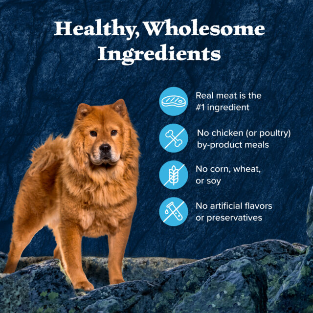 Blue Buffalo Wilderness Wild Cuts Wet Dog Food Toppers, Chicken & Beef, 3-oz. (12 Count) - Image 5