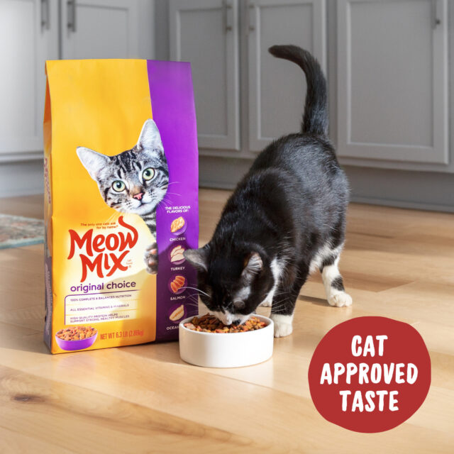Meow Mix Original Choice Dry Cat Food - Image 2
