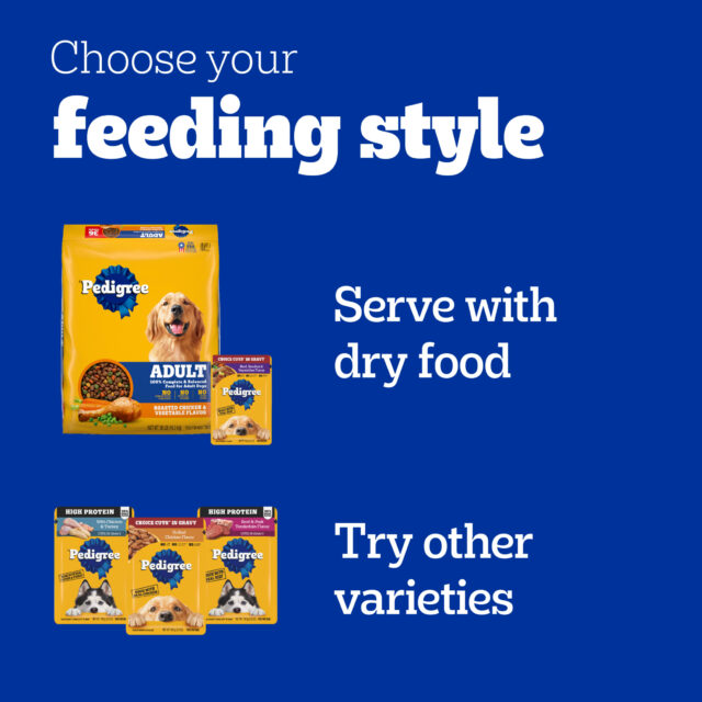 PEDIGREE CHOICE CUTS in Gravy Adult Soft Wet Dog Food, 48 Pouch Variety Pack, 3.5 oz. Pouches - Image 2