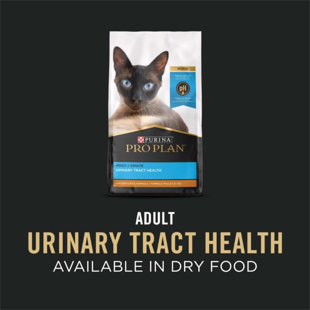 Purina Pro Plan Urinary Tract Health, Salmon, Wet Cat Food, 5.5 oz Cans, 24 Pack - Image 4
