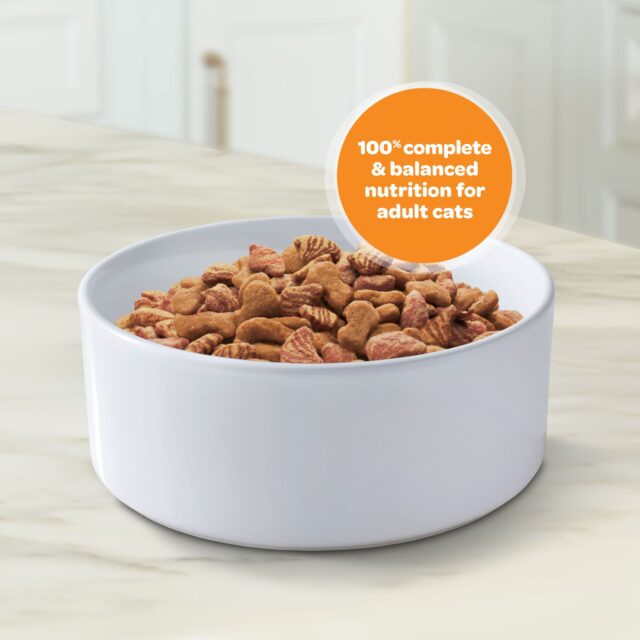 9Lives Daily Essentials Dry Cat Food - Image 4