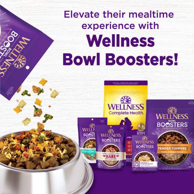 Wellness Bowl Boosters Tender Toppers, Healthy Grain Free Dog Food Topper, Lamb & Salmon Recipe, 8 Ounce Bag - Image 2